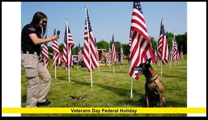Veterans Day federal holiday