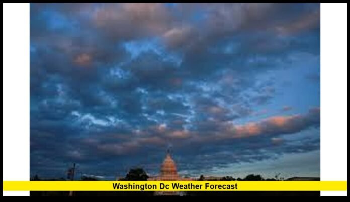 Milder Days, Patchy Clouds, and a Subtle November Cool-Down