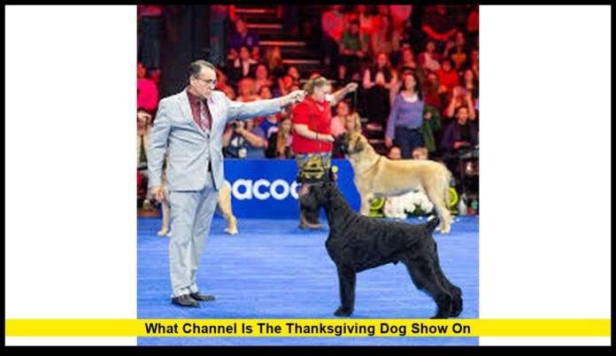 what channel is the Thanksgiving dog show on