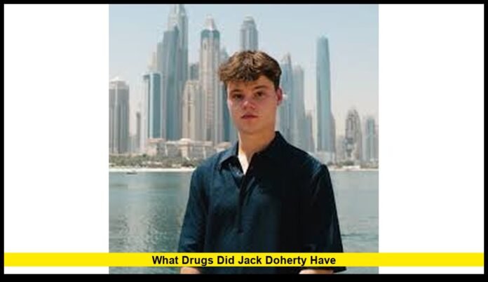 A Comprehensive, Verified 2025 Report