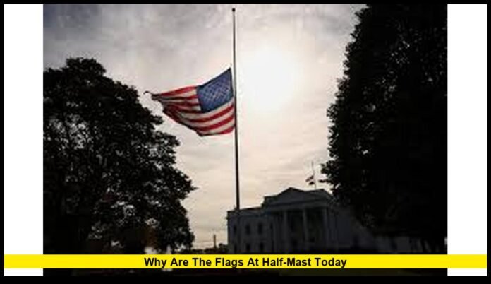 flags at half-mast today