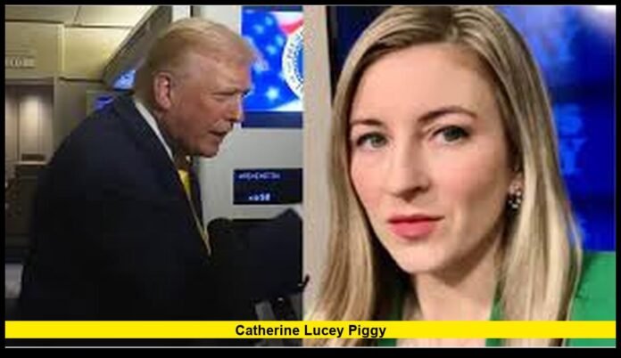 catherine lucey piggy