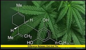 Happy Gummies Gummies with THC, CBD, & CBG