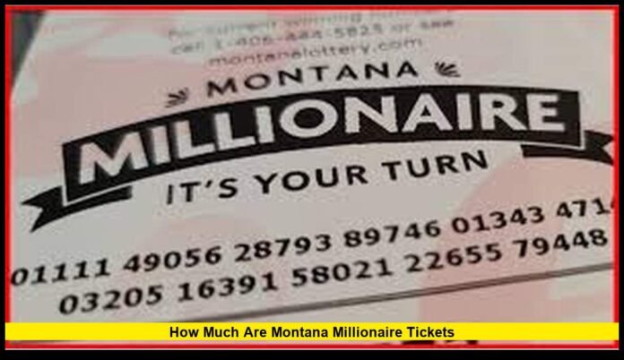 how-much-are-montana-millionaire-tickets