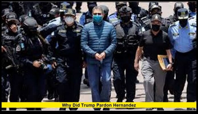 why did trump pardon hernandez