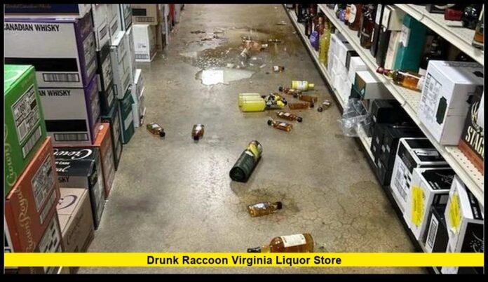 A Viral Wildlife Encounter That Stunned Richmond Locals