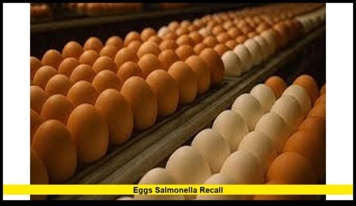 Eggs salmonella recall