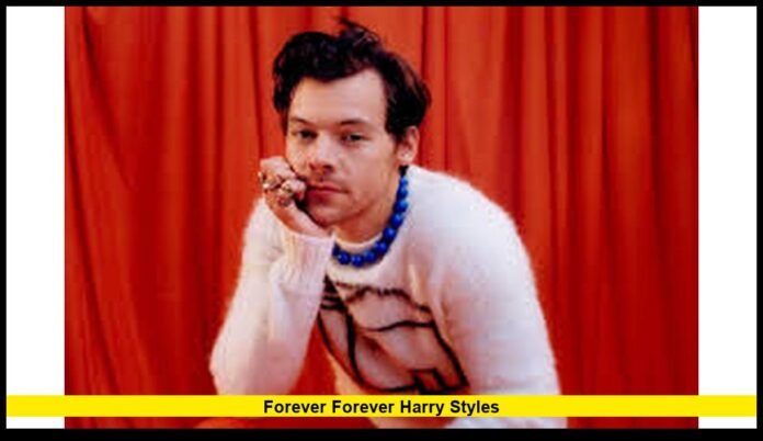 A New Chapter of Creativity and Connection