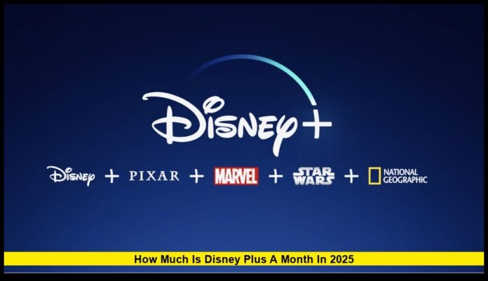 Full Pricing, Plans, and Features Explained