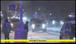 How much snow NYC