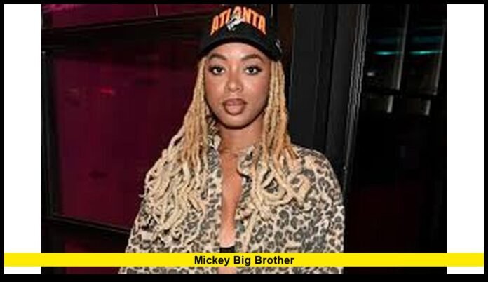 Mickey Big Brother Mickey Big Brother