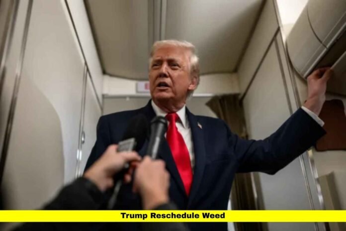 Trump Reschedule Weed