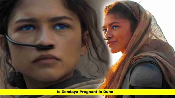 Is Zendaya Pregnant in Dune