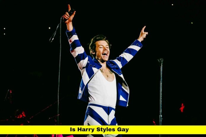 Is Harry Styles Gay