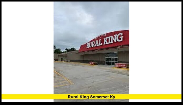 Store Updates, Community Role, and What’s New in 2025