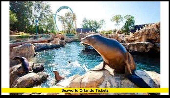 2025 Prices, Passes, and What Visitors Need to Know