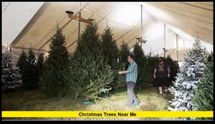 christmas trees near me