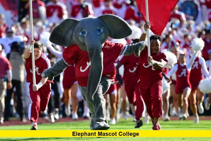 elephant mascot college