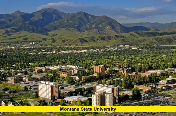 montana state university