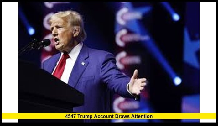 Online Political Branding Fuels Public Confusion