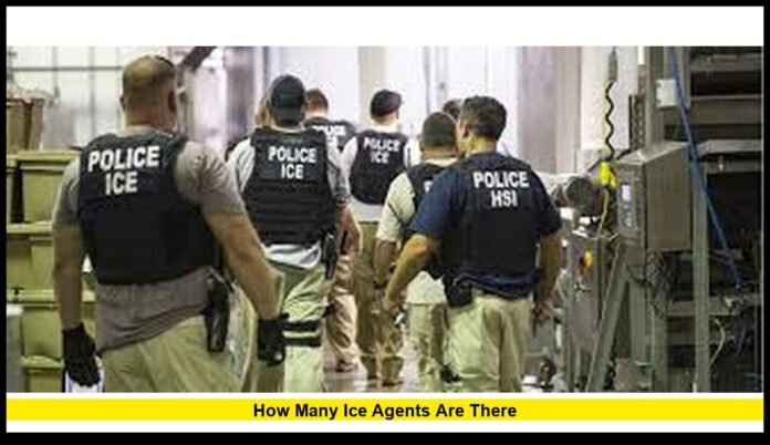 How Many ICE Agents Are There A Current Look at ICE Staffing in the United States
