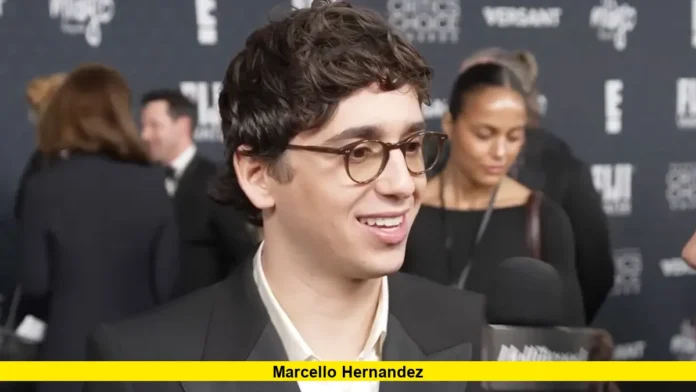 Marcello Hernandez marcello hernandez