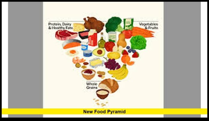 NEW FOOD PYRAMID NEW FOOD PYRAMID