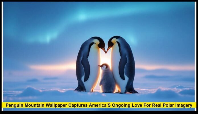 Penguin Mountain Wallpaper Captures America’s Ongoing Love for Real Polar Imagery