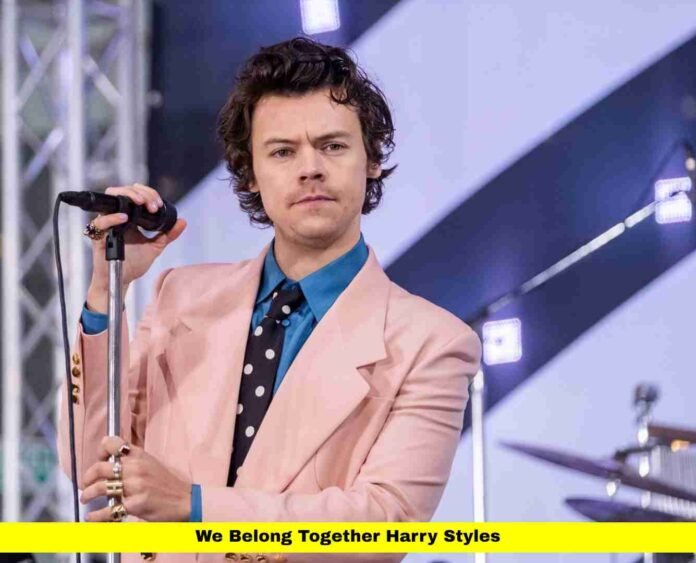 We Belong Together Harry Styles