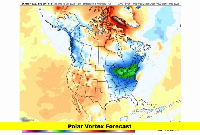 Polar Vortex Forecast