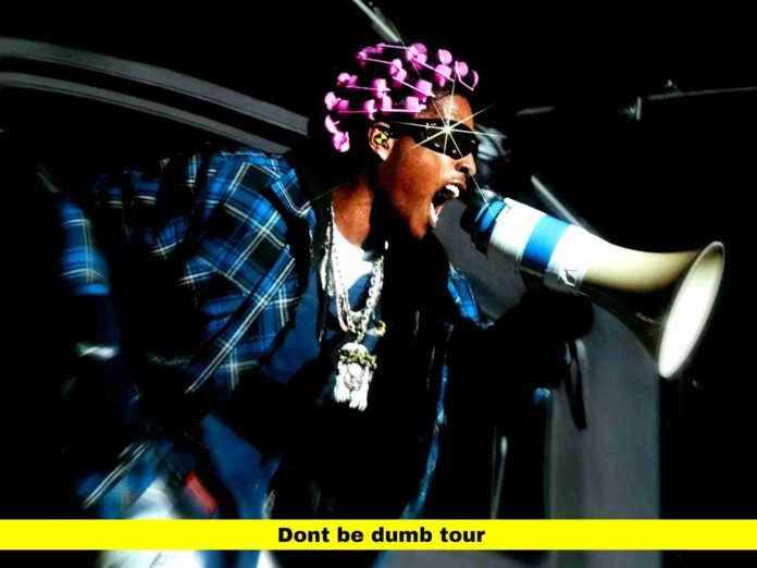 dont be dumb tour