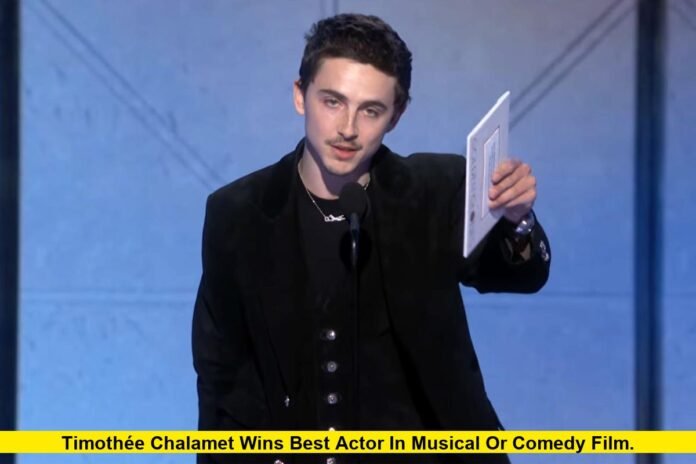 Timothée Chalamet Wins Best Actor in Musical or Comedy Film