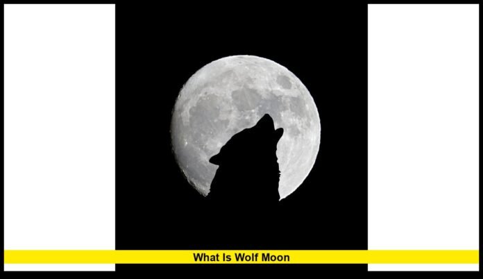 The First Full Moon of 2026 Brings Winter Light to the American Sky