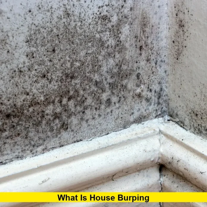 What is house burping