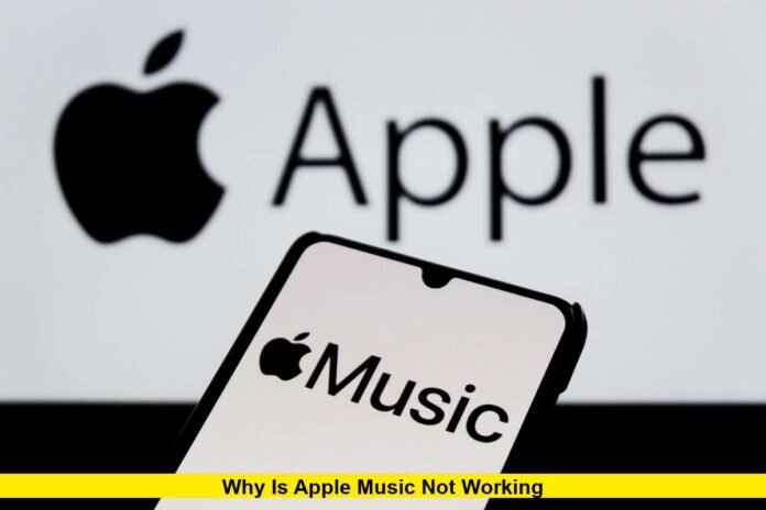 Why Is Apple Music Not Working Why Is Apple Music Not Working