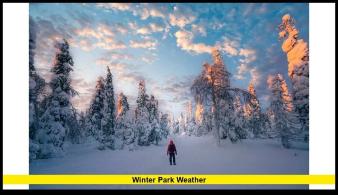 January 2026 Forecast, Climate Trends, and Local Conditions