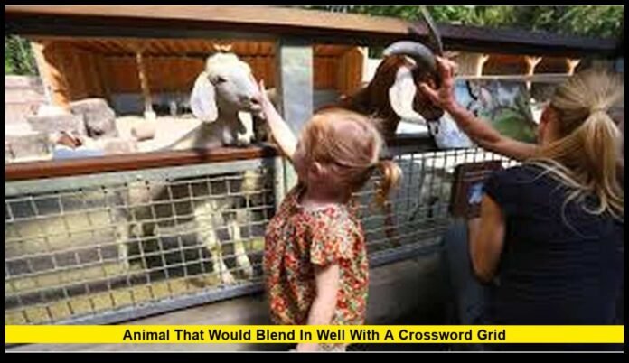 Animal That Would Blend in Well With a Crossword Grid