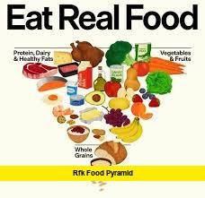 rfk food pyramid rfk food pyramid