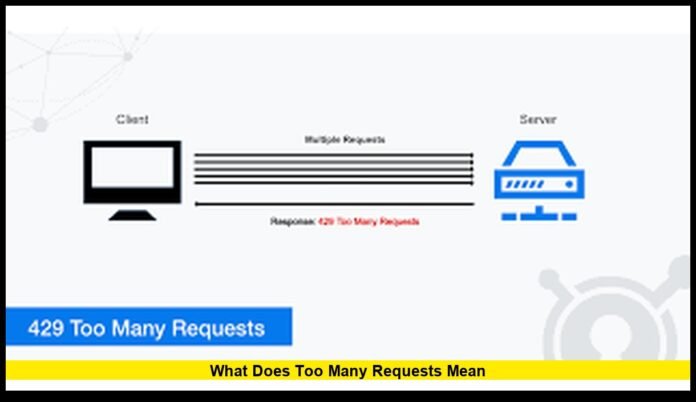 what does too many requests mean