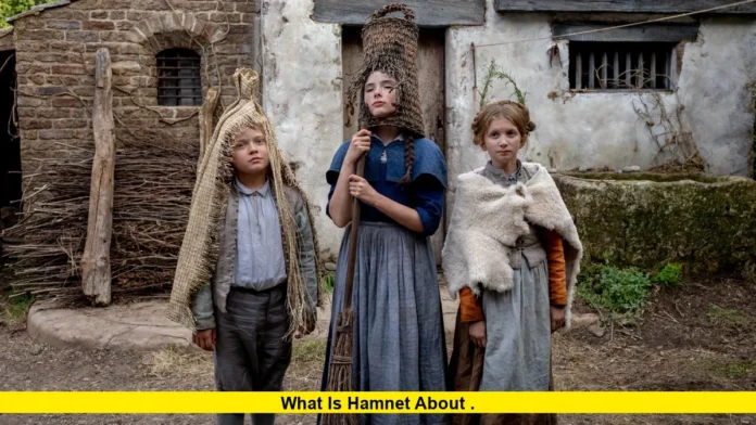 what is hamnet about . what is hamnet about