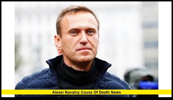 Official Findings, Global Reactions, and Ongoing Disputes in 2026