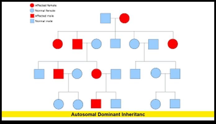 Its Growing Impact on U.S. Families