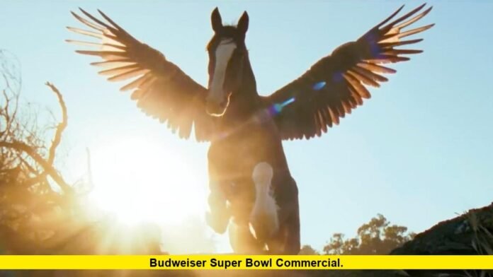 Budweiser Super Bowl commercial
