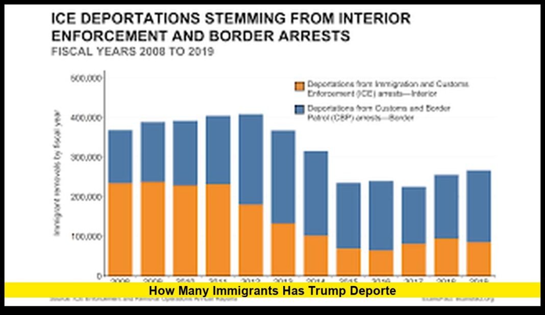 How Many Immigrants Has Trump Deported? A Detailed Look at the Official ...