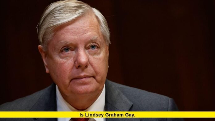 Is Lindsey Graham Gay