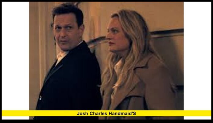 Why Viewers Are Searching and What Is Factually Confirmed