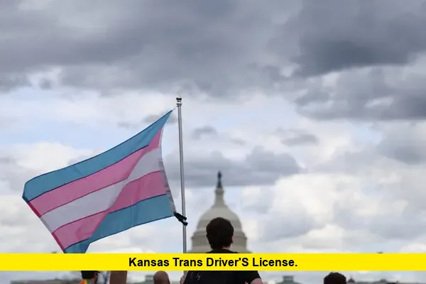 Kansas Trans Driver's License