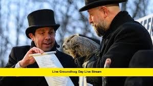 Live Groundhog Day Live Stream