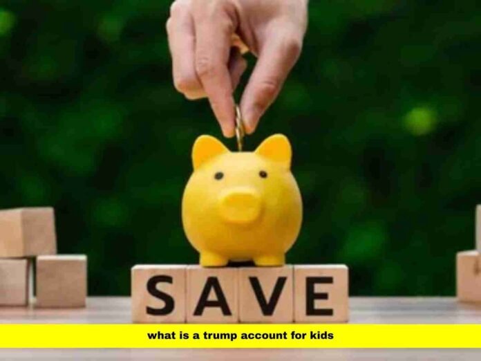 what is a trump account for kids