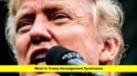 What Is Trump Derangement Syndromes
